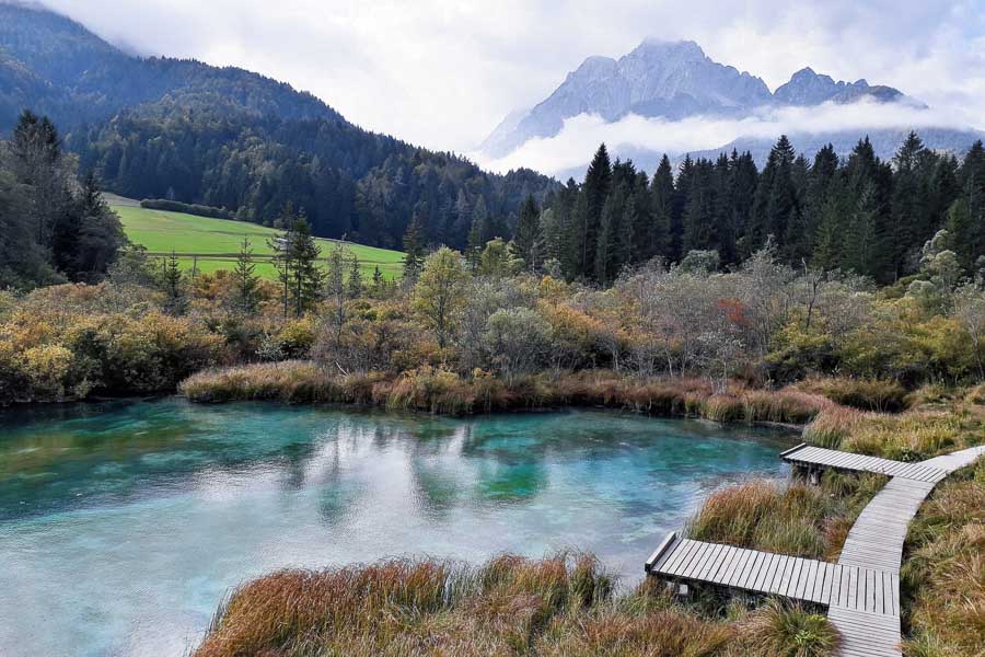 zelenci slovenia