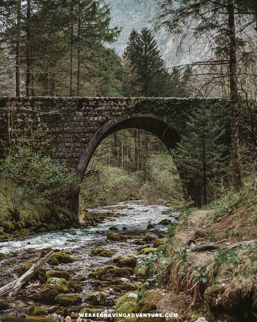 Kamniska Bistrics Slovenia 1