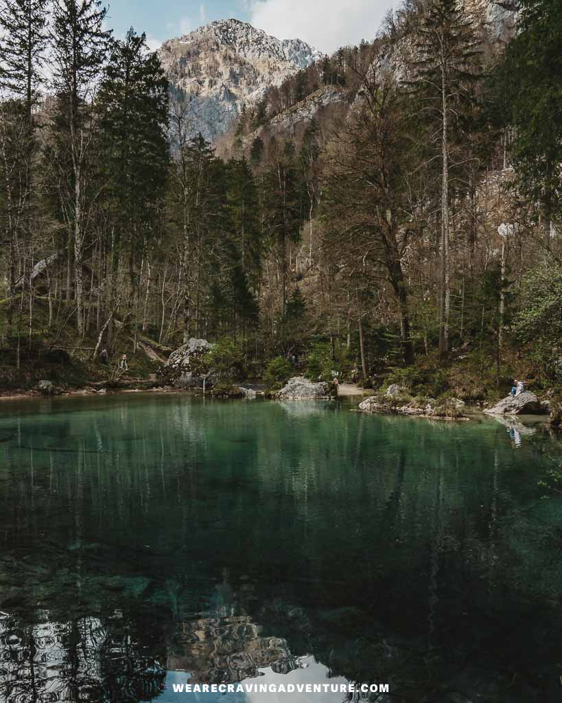 Kamniska Bistrics Slovenia 2
