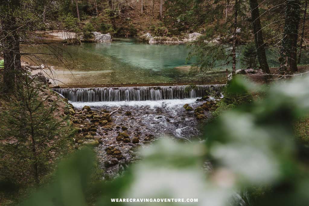 Kamniska Bistrics Slovenia 5
