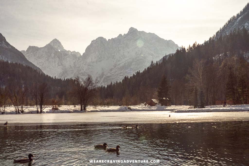 Lake Jasna Kranjska Gora 1