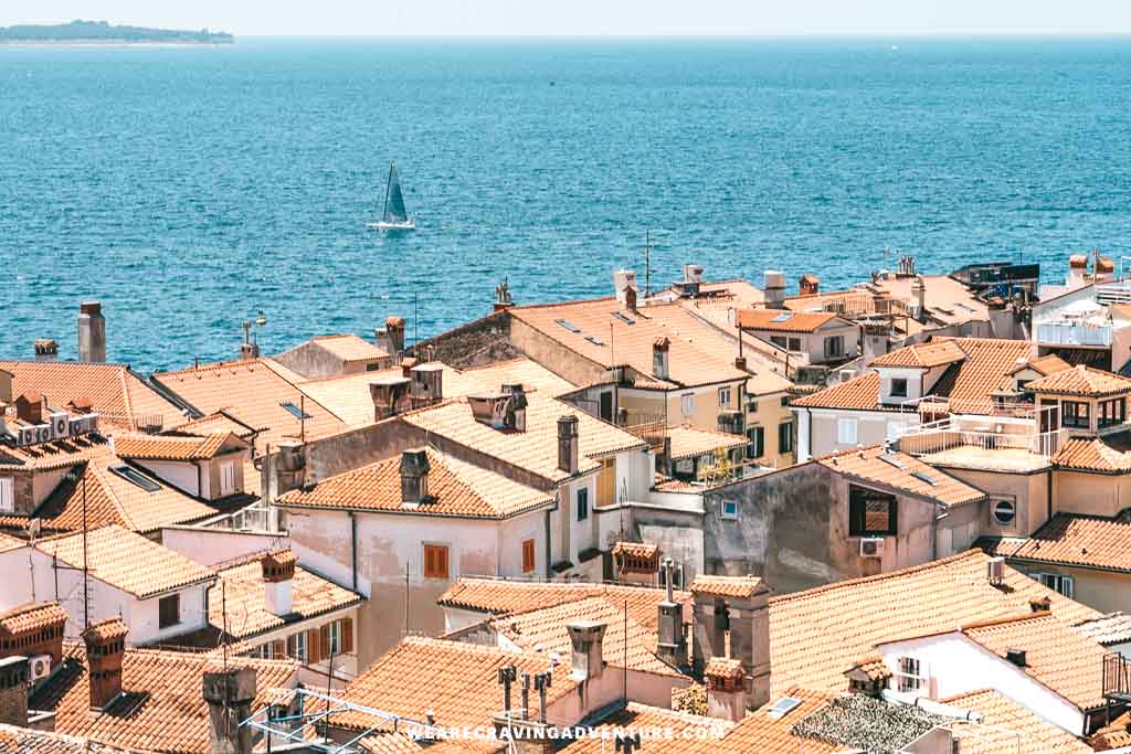 Piran Slovenia roofs
