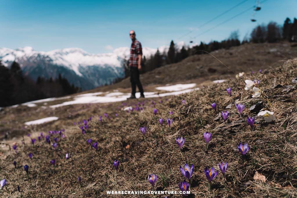Velika Planina Slovenia 1