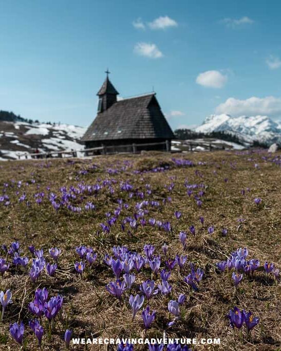 Velika Planina Slovenia 22 e1629645243890