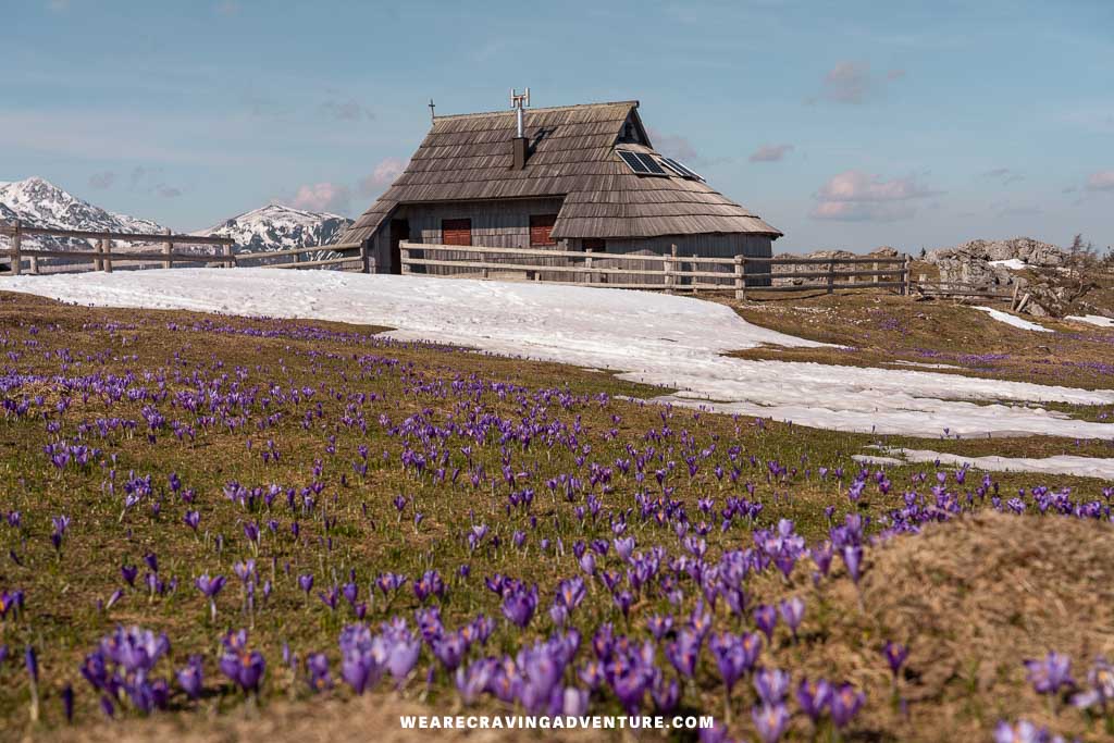 Velika Planina Slovenia 24