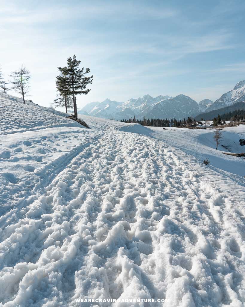 Velika Planina Slovenia 45