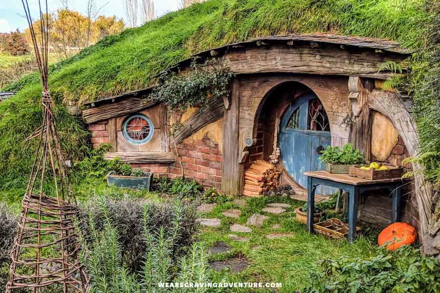 LOTR (Hobbit) Filming Locations Private Tour | New Zealand Travel