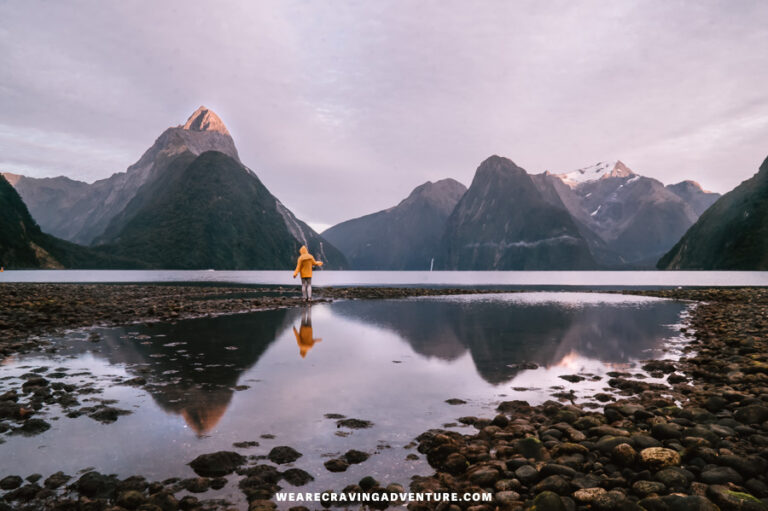 milford sound new zealand 2 2