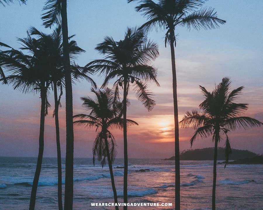 sri lanka 1