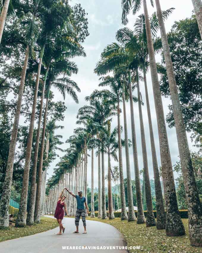 sri lanka 12