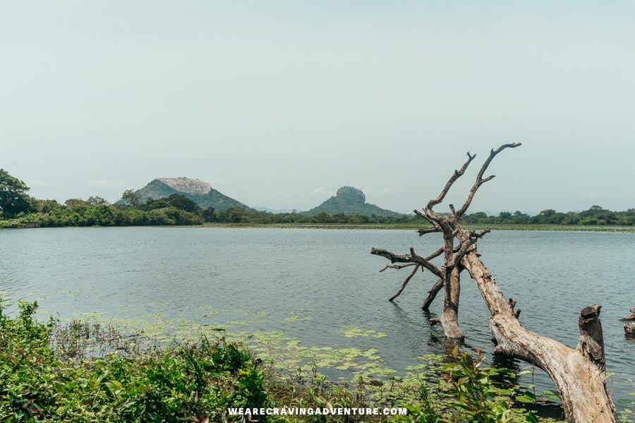 sri lanka 6