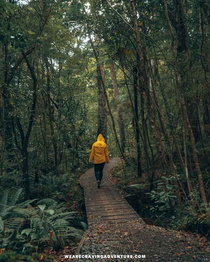 stewart island new zealand 9