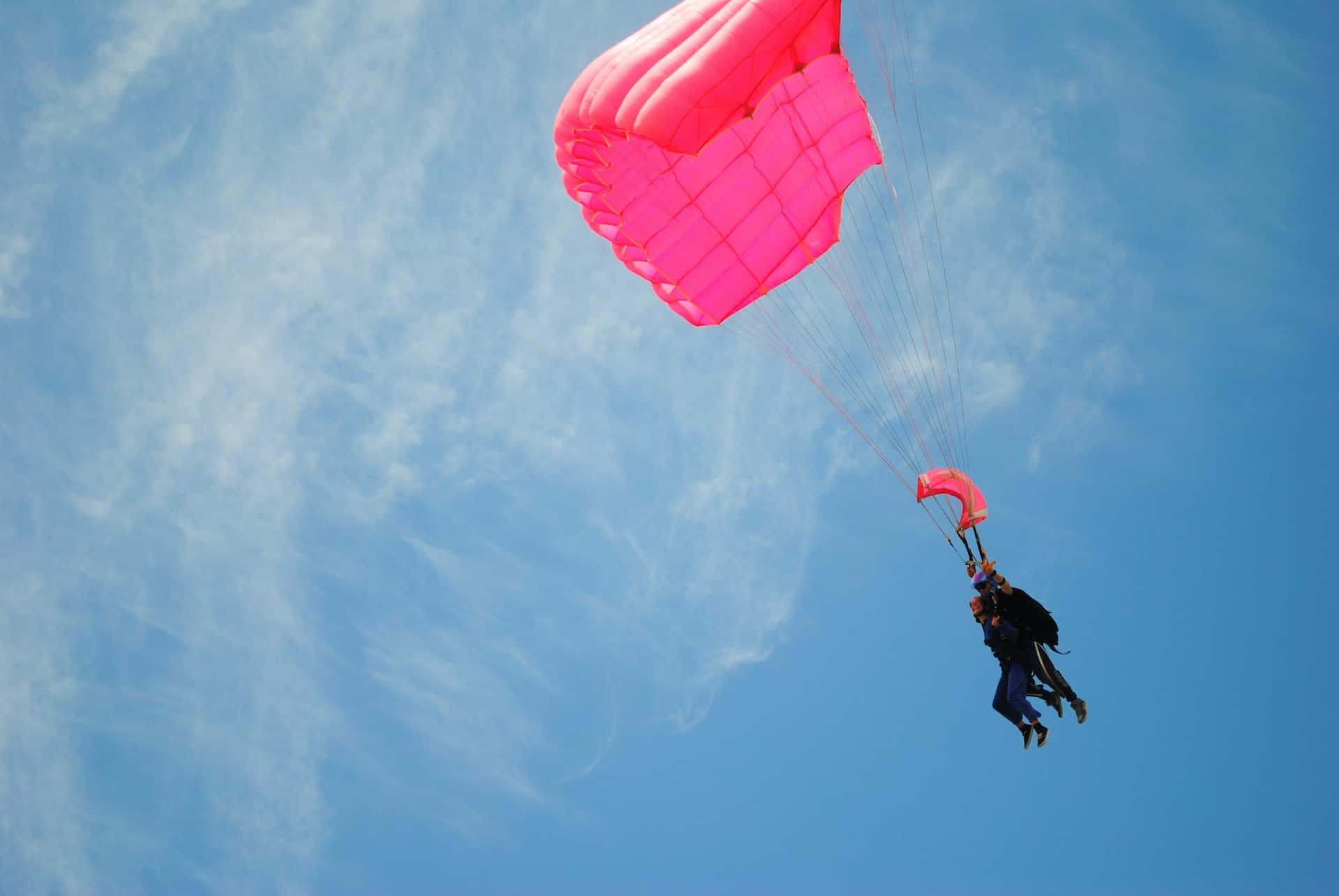 new zealand skydive auckland