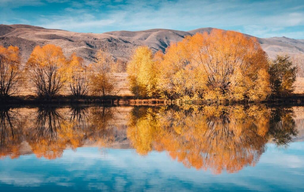 twizel new zealand