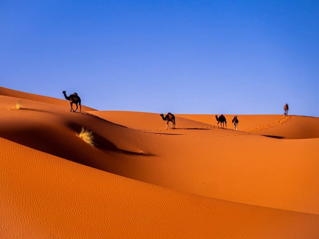 Merzouga morocco