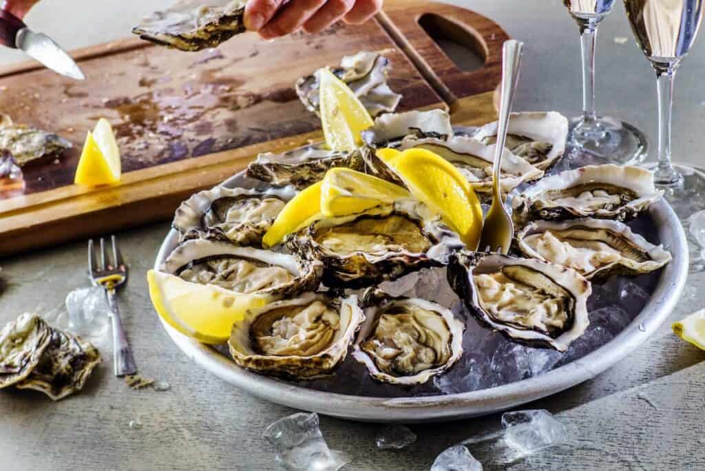 oysters