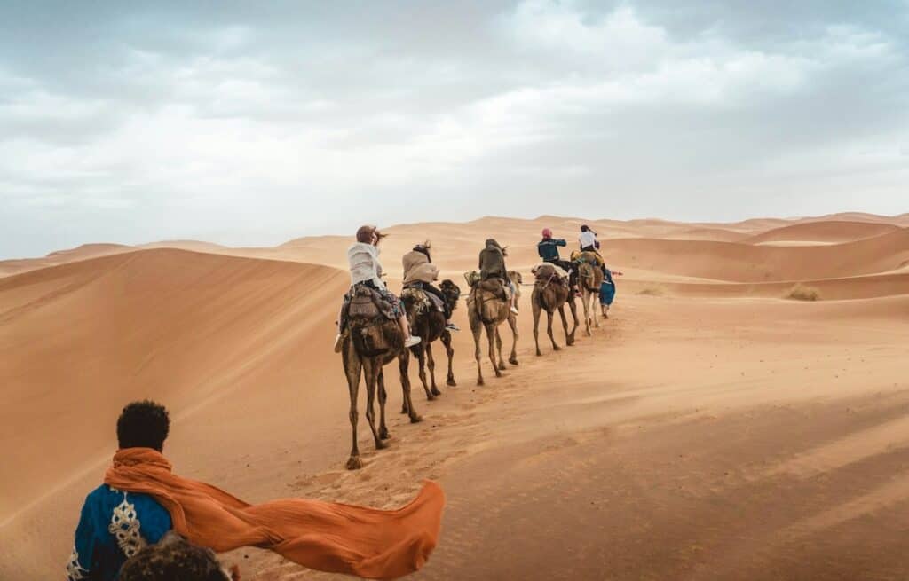 sahara camel ride morocco