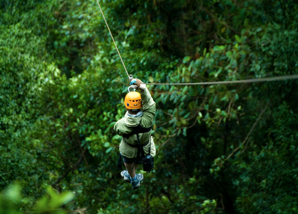 rotorua canopy tour
