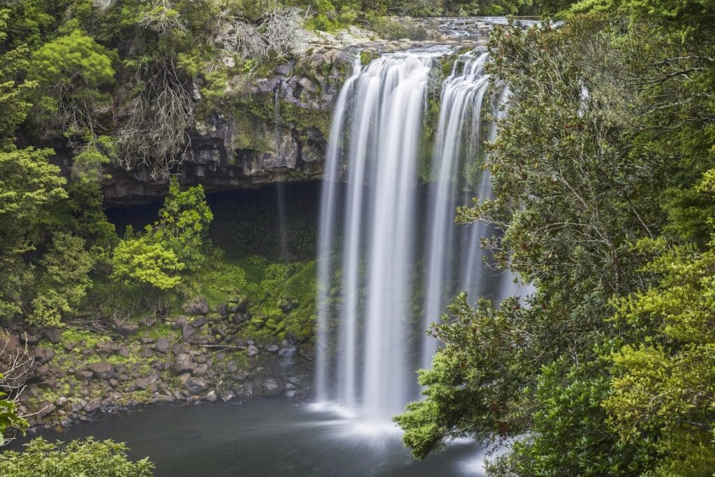 Rainbow Falls Kerikeri BOI New Zealand