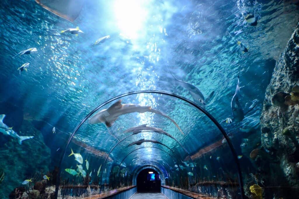 KLCC aquarium