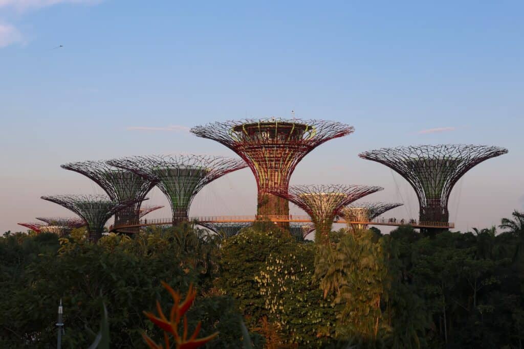gardens by the bay