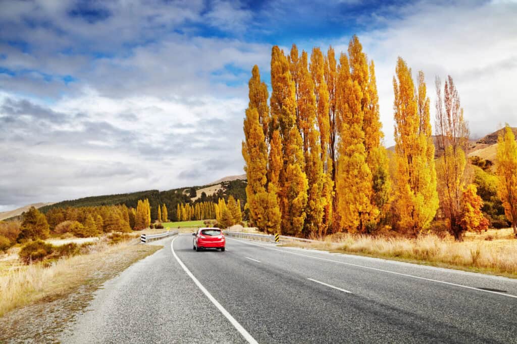 renting a car in new zealand 1