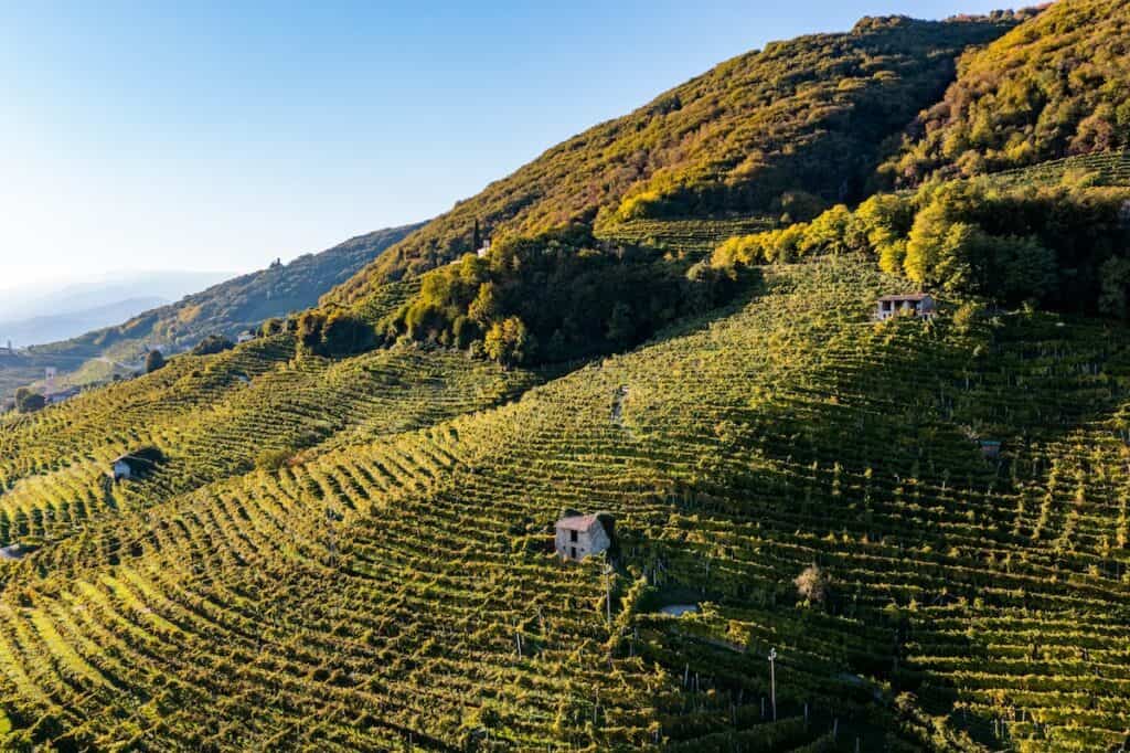 Valdobbiadene prosecco wine italy