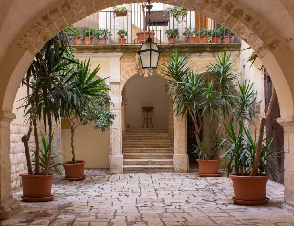 bari vecchia backyard