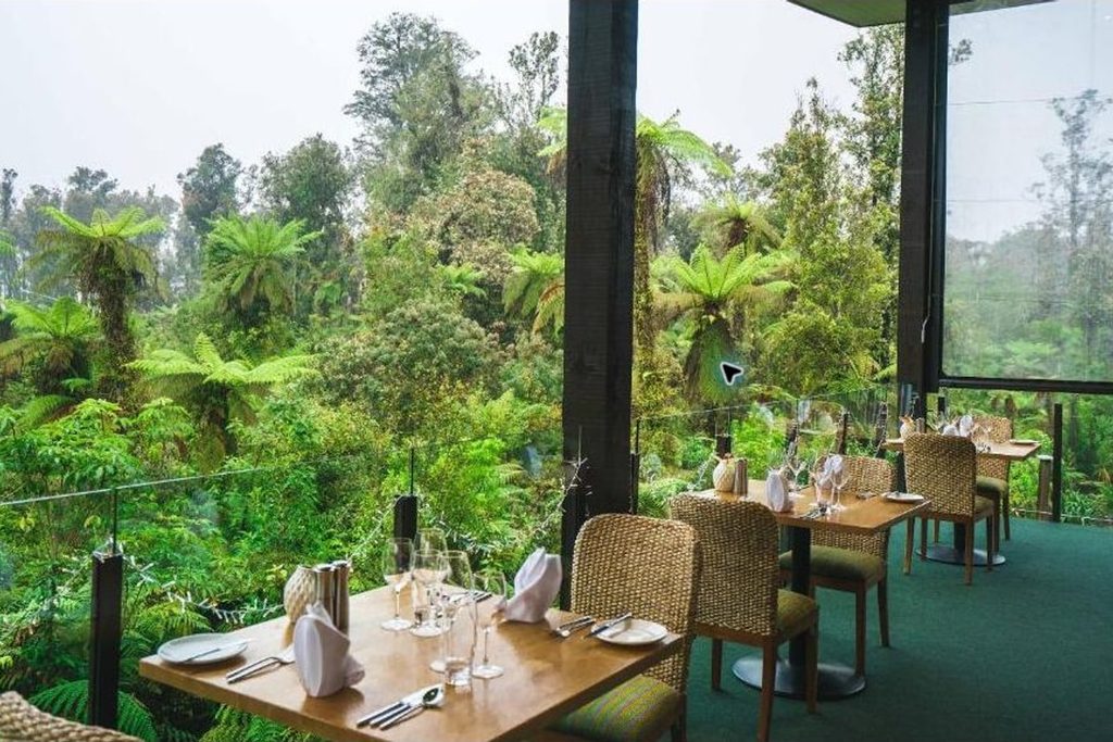 franz josef legacy te waonui 03 forest view restaurant