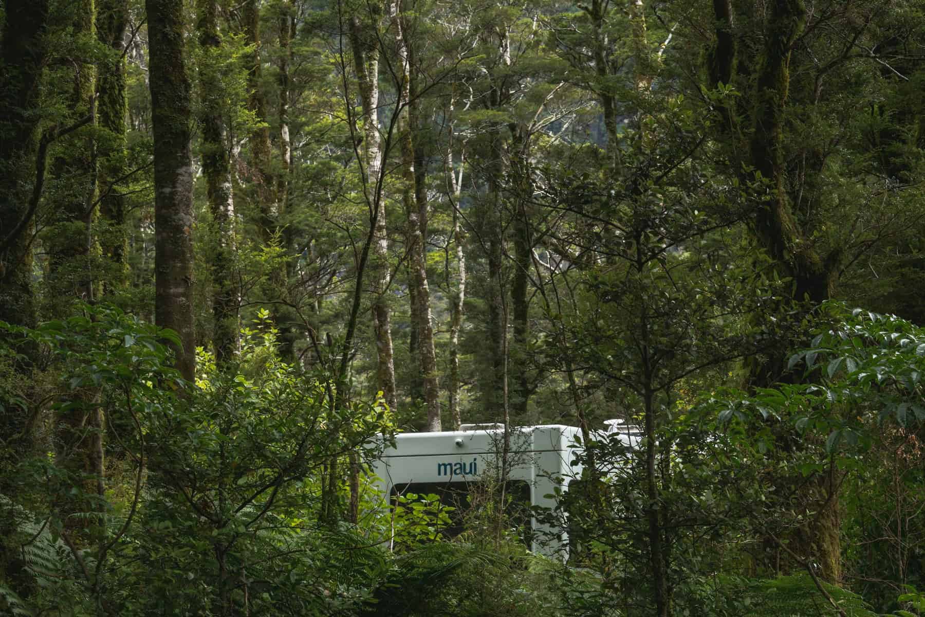 where to stay in milford sound rainforest campervan park 01