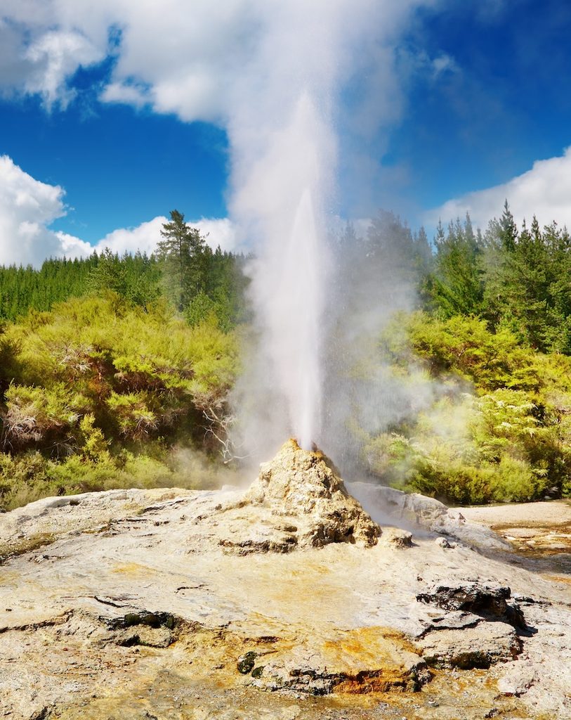 lady knox wai o tapu geyser rotorua